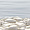 Декор Del Mare DWU09DLM604