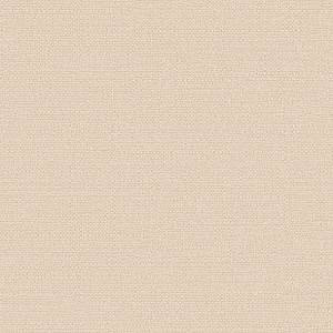 Обои Alessandro Allori Bruni винил на флизелине 1,06х10,0м RBN1003-8