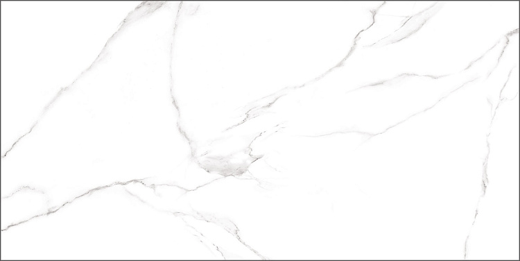Керамогранит Alma Ceramica Carrara GFU60120CRR00R 60x120