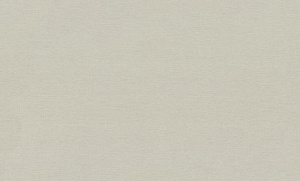 Обои EuroDecor House винил горячего тиснения 1,06х10,0м 9287-10