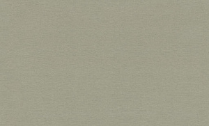 Обои EuroDecor House винил горячего тиснения 1,06х10,0м 9287-12