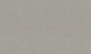 Обои EuroDecor Base винил горячего тиснения 1,06х10,0м 7302-02