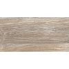 Плитка настенная AltaCera Detroit Wood WT9DET08