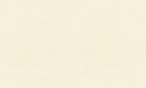 Обои EuroDecor Florance винил на флизелине 1,06х10,0м 8091-01