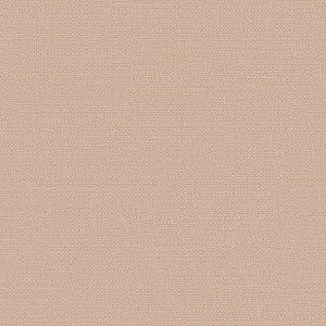 Обои Alessandro Allori Bruni винил на флизелине 1,06х10,0м RBN1003-9