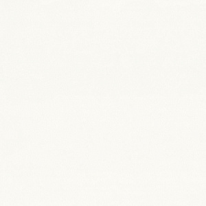 Обои EuroDecor Savanna винил на флизелине 1,06х10,0м 9192-00