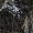 Керамогранит Грани Таганая Simbel carbon черно-белый GRS05-03 60x120