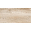 Плитка настенная New Trend Artwood WT36AOD08