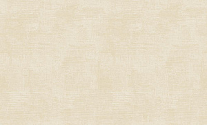 Обои Bernardo Bartalucci Cesara 1,06х10,0м 5015-2