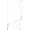 Керамогранит Arcadia Ceramica Luce Statuario