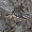 Керамогранит Primavera Canyon Grey CR211 Carving 60x120