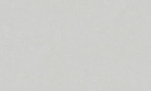Обои AS-Creation Пасифика винил на флизелине 1,06х10,0м 39939-2