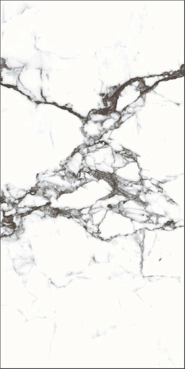 Керамогранит Primavera Blanco Tranco CR206 Carving 60x120