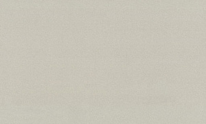 Обои EuroDecor Fibre винил на флизелине 1,06х10,0м 9313-23