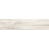 Керамогранит Alma Ceramica Ashton GFU92ATN04R