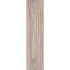 Керамогранит Primavera Forest Crema WD09 20x80