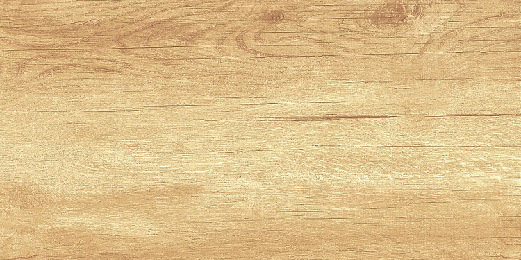 Плитка настенная AltaCera Paradise Wood WT9OAS31
