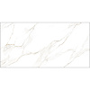 Керамогранит Alma Ceramica Nevada GFU60120NVD00L 60x120