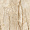 Керамогранит LV Granito RS 156 Ivory Carving 60x120