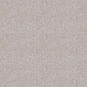 Линолеум PROFI MASTER полукоммерческий PROXI 2 (ширина 4м)