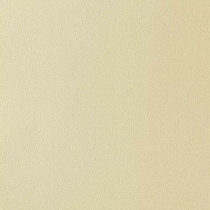 Обои Parati&Parati Uno винил на флизелине 1,06х10,0м FN26020