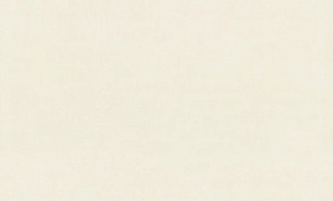 Обои EuroDecor Florance винил на флизелине 1,06х10,0м 8091-06