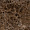 Керамогранит Laparet Emperador Brown полированный 60x120