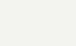 Обои Wall Up Step Up винил на флизелине 1,06х10,0м W187013