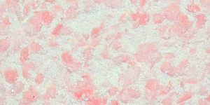 Рельеф 324
