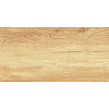 Плитка настенная AltaCera Paradise Wood WT9OAS31