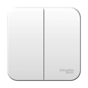 Выключатель Schneider Electric BLANCA 2-клавишный 10А открытый монтаж белый 