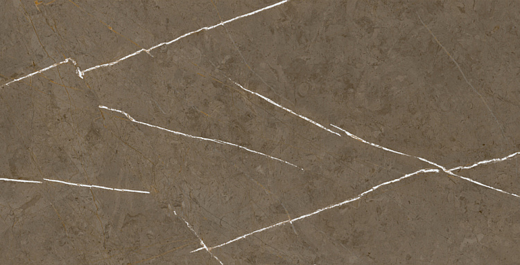 Керамогранит Basconi Home Stone Brown BHM-5009 3D ink-soft glaze 60x120