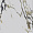 Керамогранит Primavera Fantasy Mix CR201 Carving 60x120