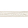 Керамогранит Alma Ceramica Andora GFA92ADR04R
