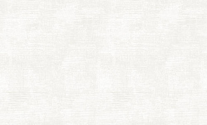 Обои Bernardo Bartalucci Cesara 1,06х10,0м 5015-1