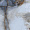 Керамогранит Primavera Jakarta Blue CR210 Carving 60x120