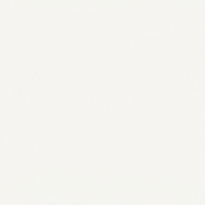 Обои EuroDecor Primavera винил на флизелине 1,06х10,0м 9294-17